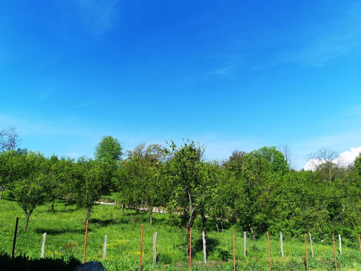Casuta Din Gradina Villa Horezu Buitenkant foto