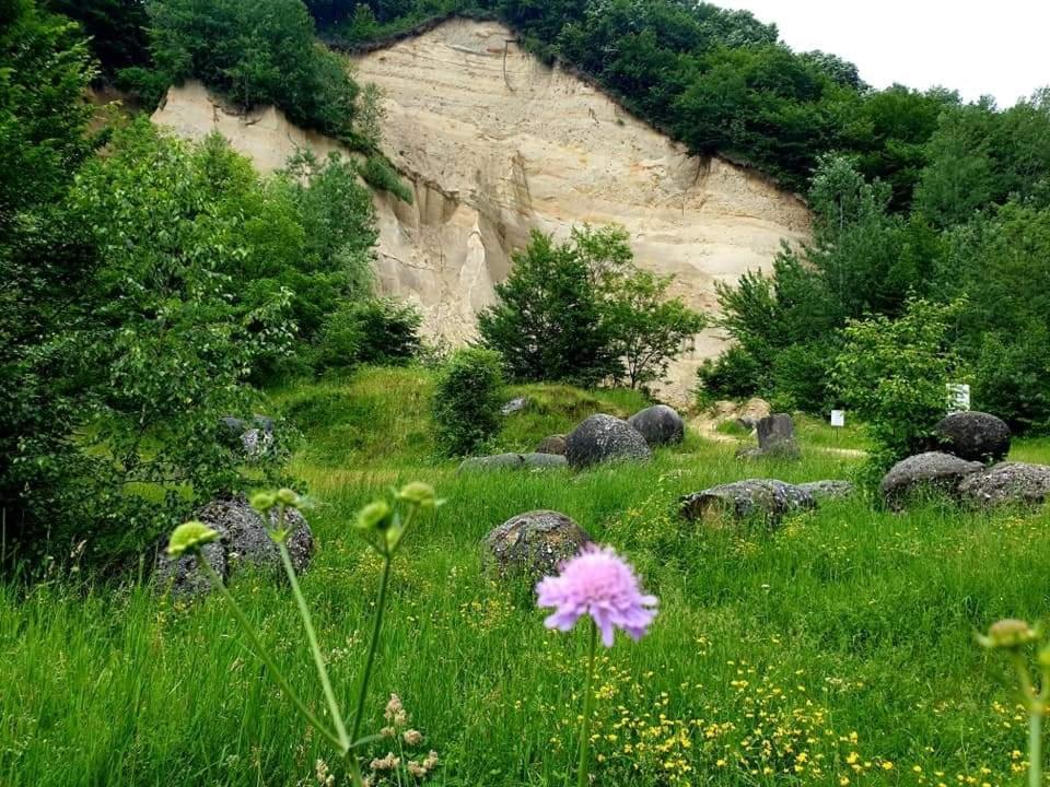 Casuta Din Gradina Villa Horezu Buitenkant foto