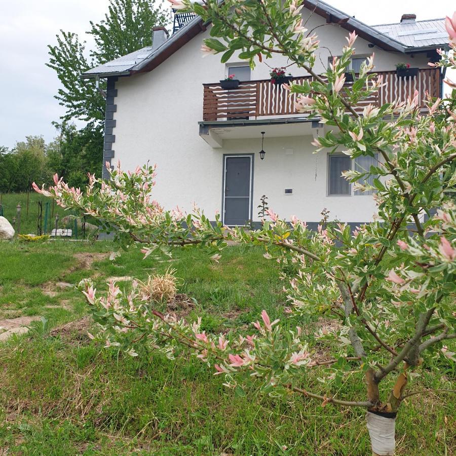 Casuta Din Gradina Villa Horezu Buitenkant foto